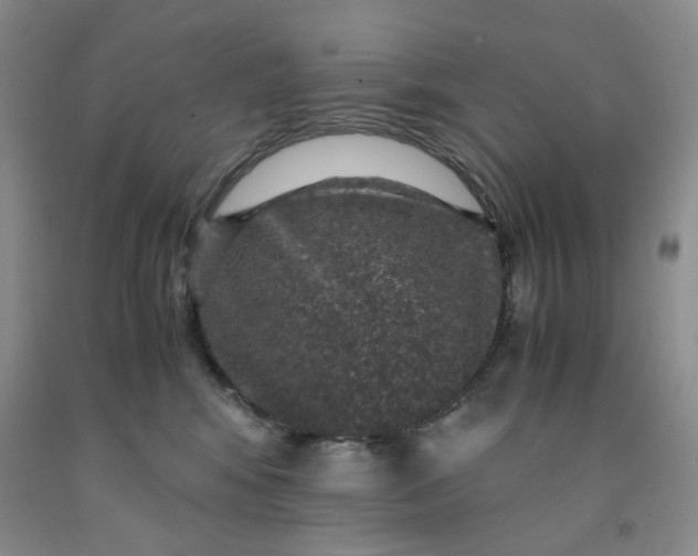 X0000091960424200709201347