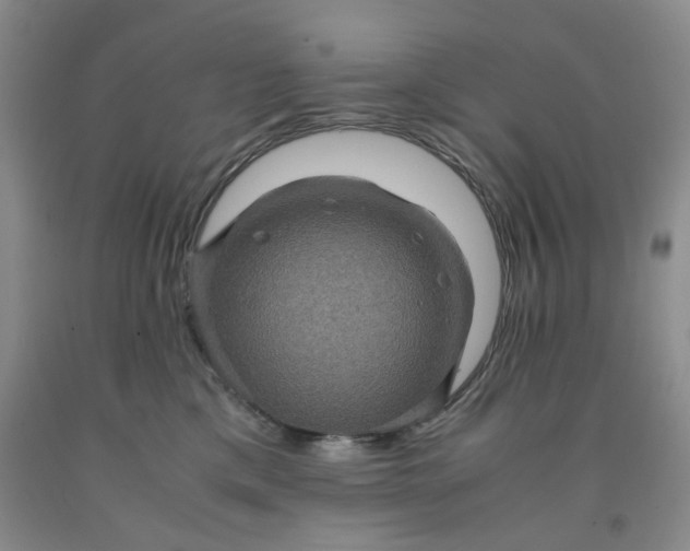 X0000091960425200709201347