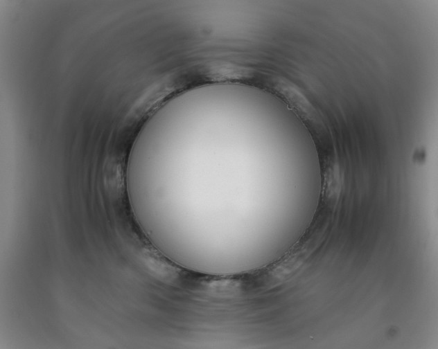 X0000091960426200709201347