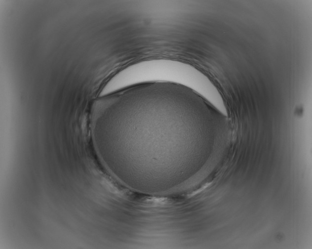 X0000091960428200709201347