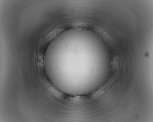 X0000091960430200709201347