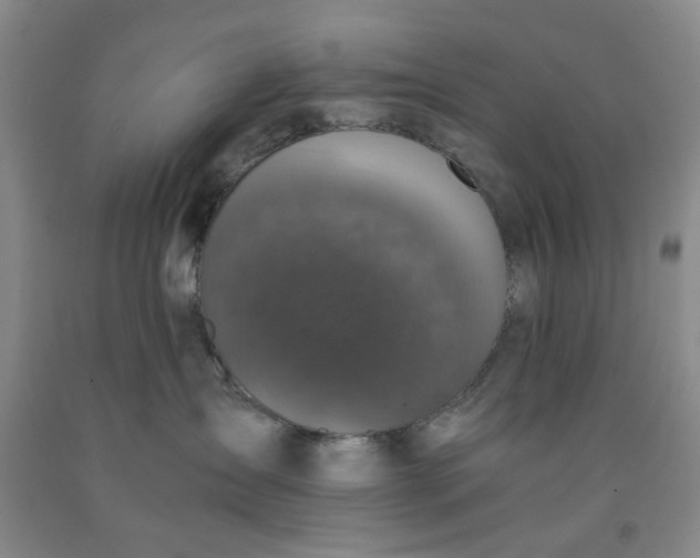 X0000091960431200709201347