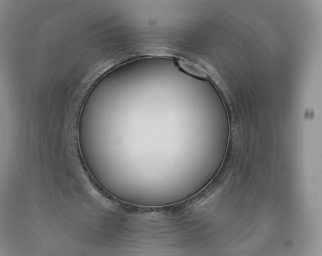 X0000091960433200709201347