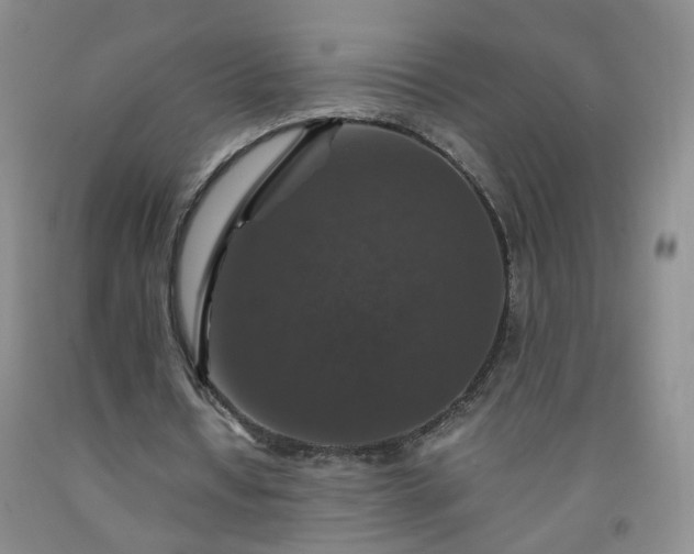 X0000091960434200709201347