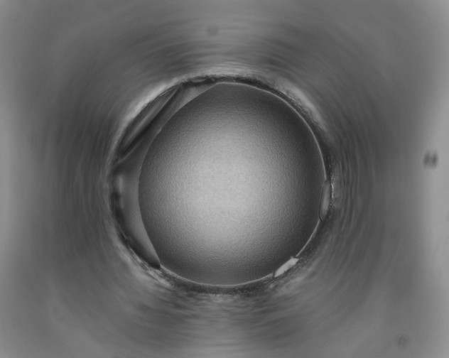 X0000091960436200709201347