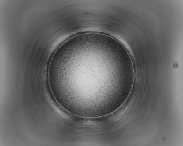 X0000091960437200709201347