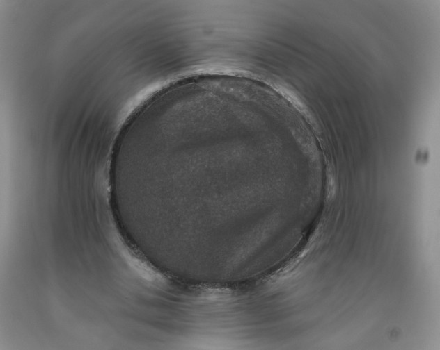 X0000091960438200709201347