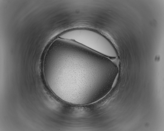 X0000091960439200709201347