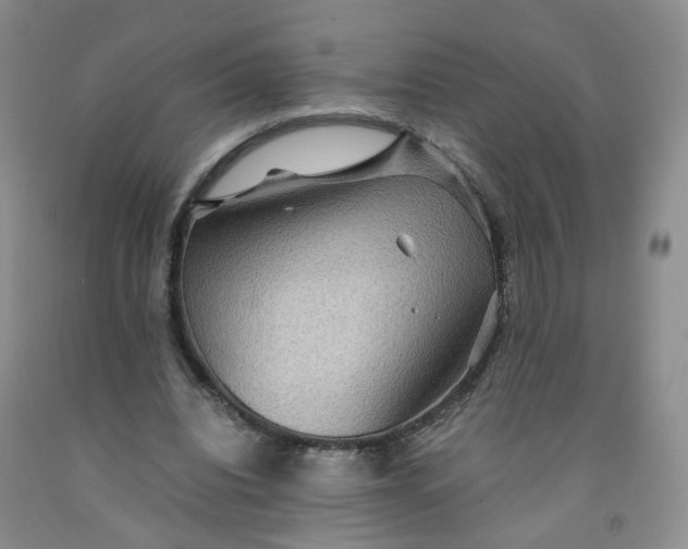 X0000091960440200709201347