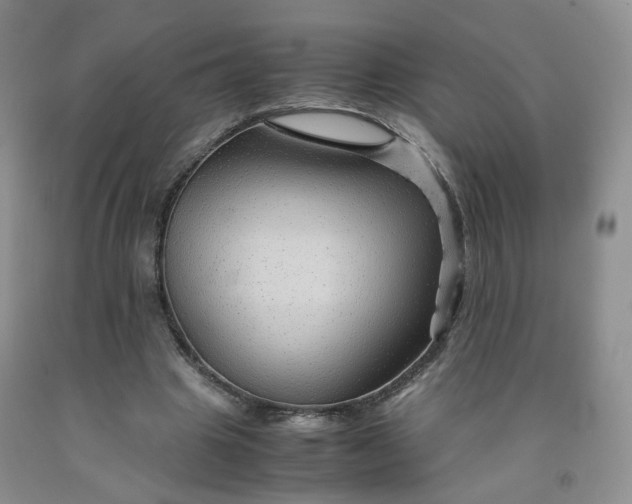 X0000091960441200709201347