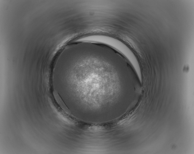 X0000091960444200709201347