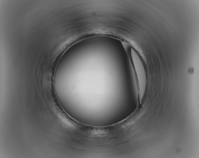 X0000091960445200709201347