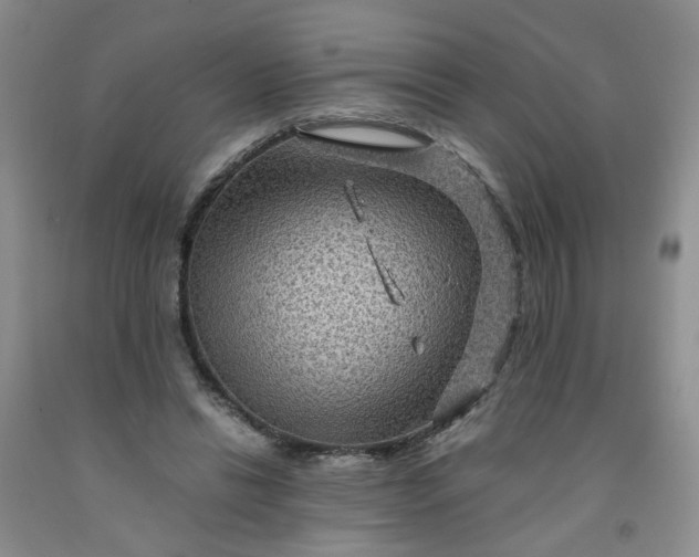 X0000091960446200709201347