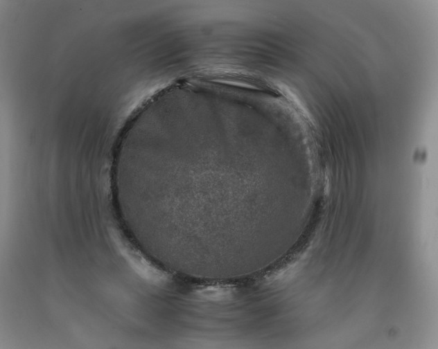 X0000091960447200709201347