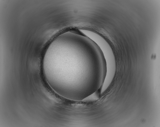 X0000091960448200709201347