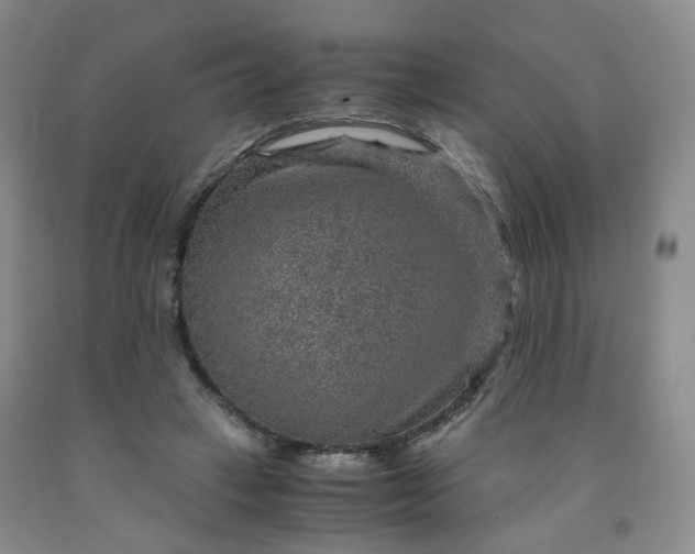 X0000091960449200709201347