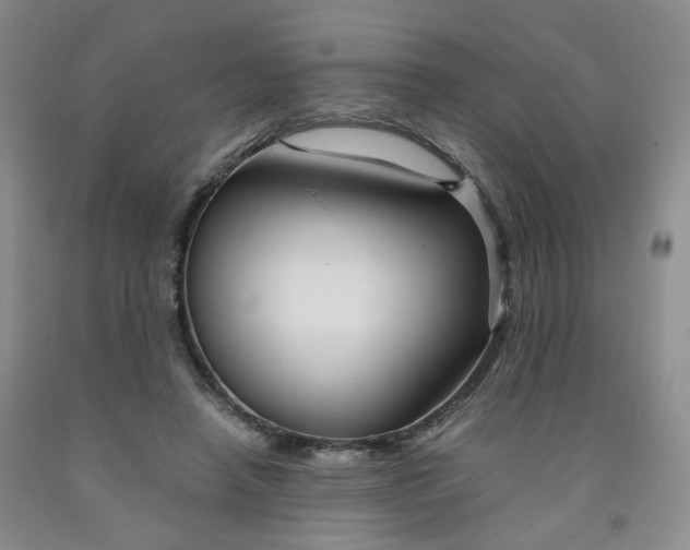 X0000091960450200709201347