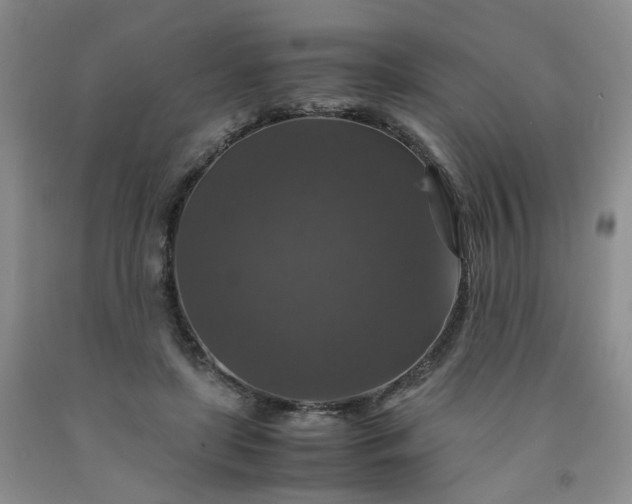 X0000091960451200709201347