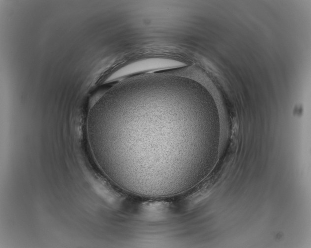 X0000091960452200709201347