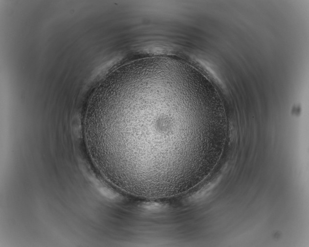 X0000091960453200709201347