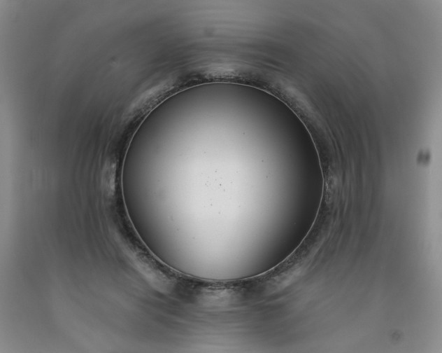 X0000091960454200709201347