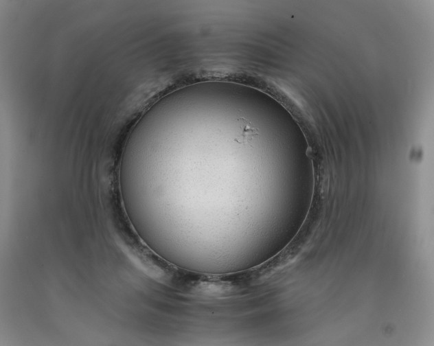 X0000091960455200709201347