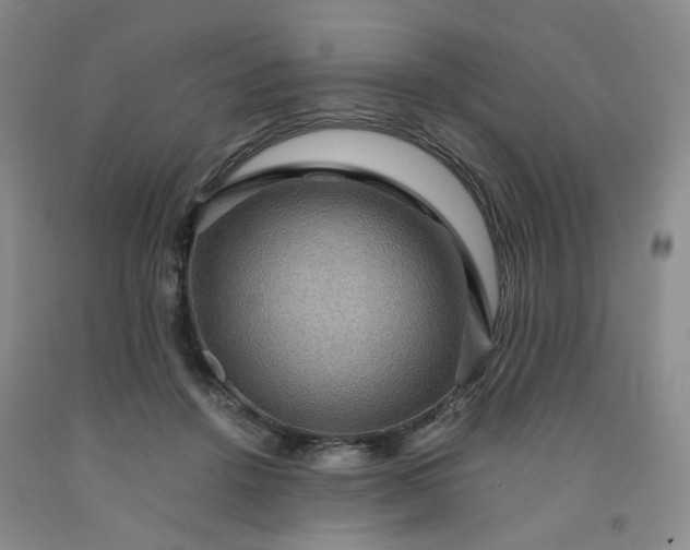 X0000091960456200709201347