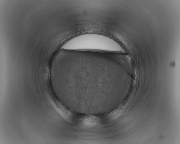 X0000091960459200709201347