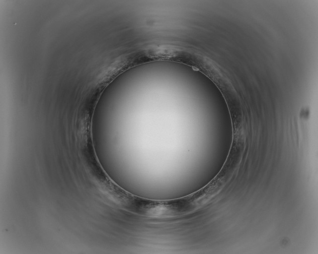 X0000091960460200709201347