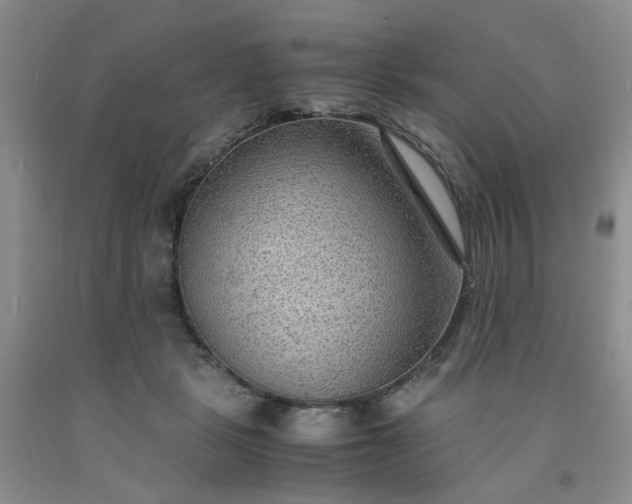 X0000091960461200709201347