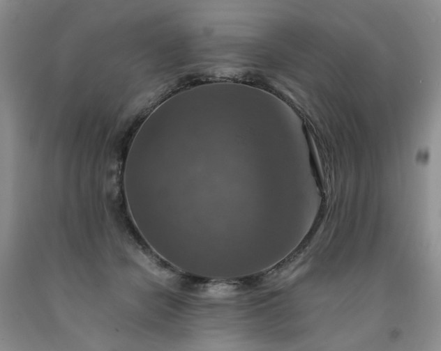 X0000091960462200709201347