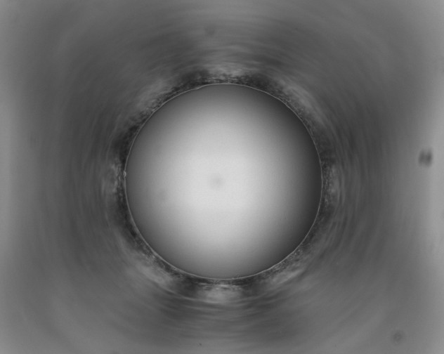 X0000091960463200709201347