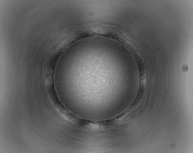 X0000091960464200709201347