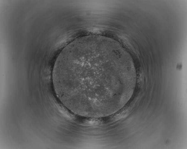 X0000091960466200709201347