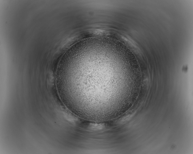 X0000091960469200709201347