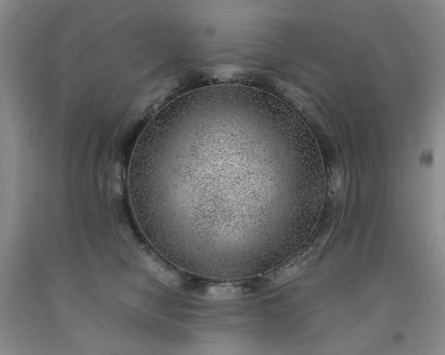 X0000091960470200709201347