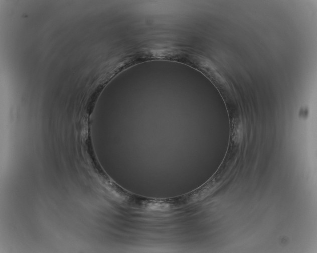 X0000091960471200709201347