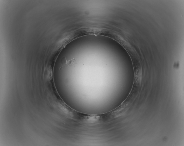 X0000091960474200709201347