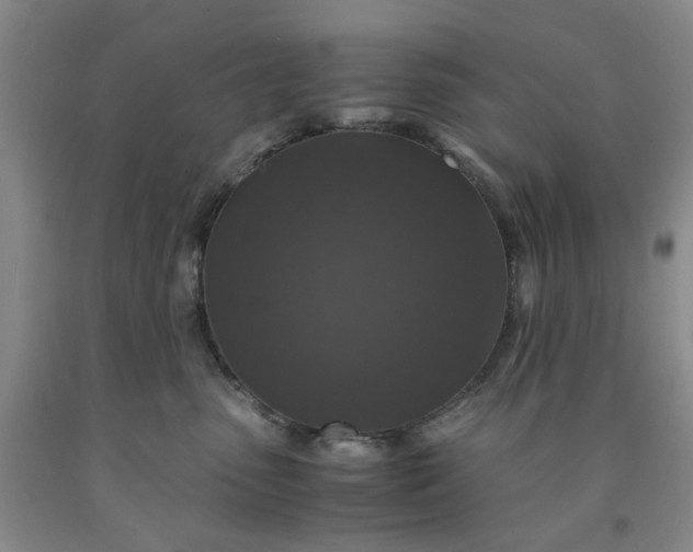 X0000091960475200709201347