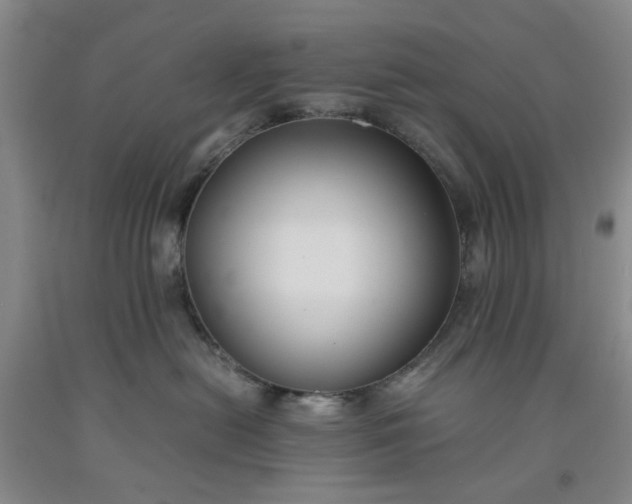 X0000091960478200709201347