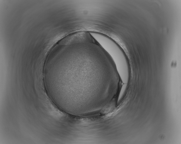 X0000091960481200709201347