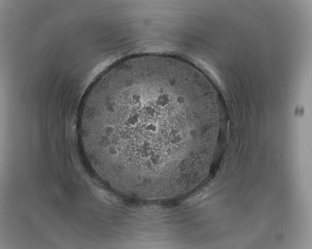 X0000091960483200709201347