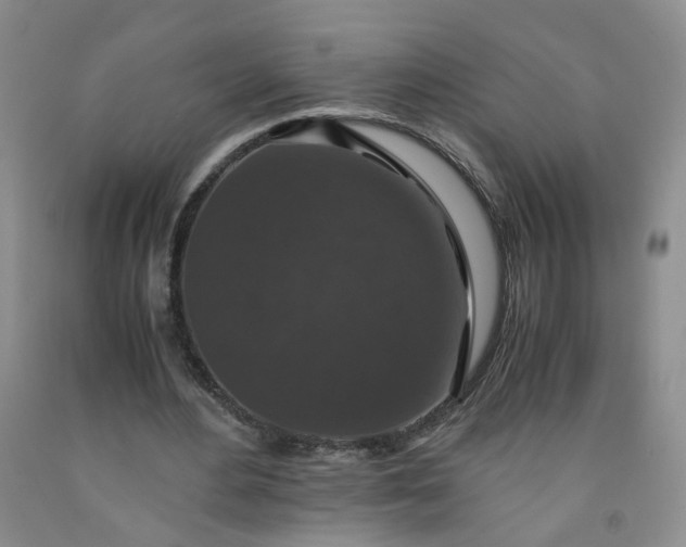 X0000091960484200709201347