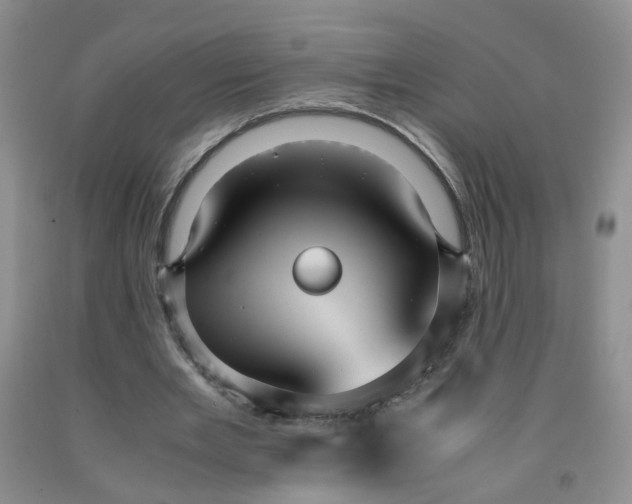 X0000091960485200709201346