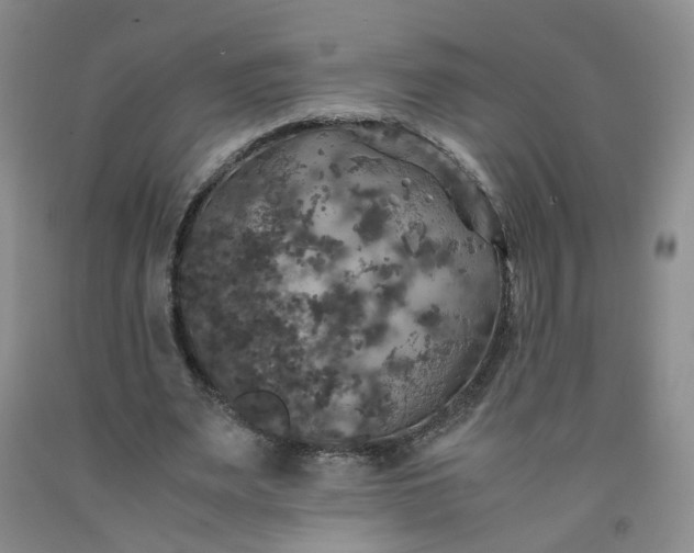 X0000091960487200709201346