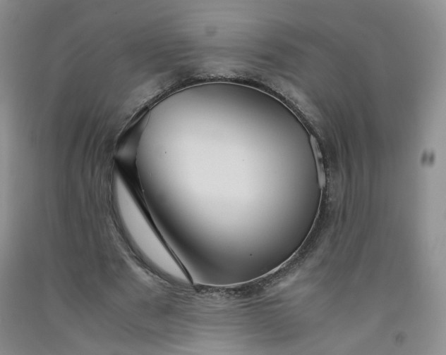 X0000091960489200709201346