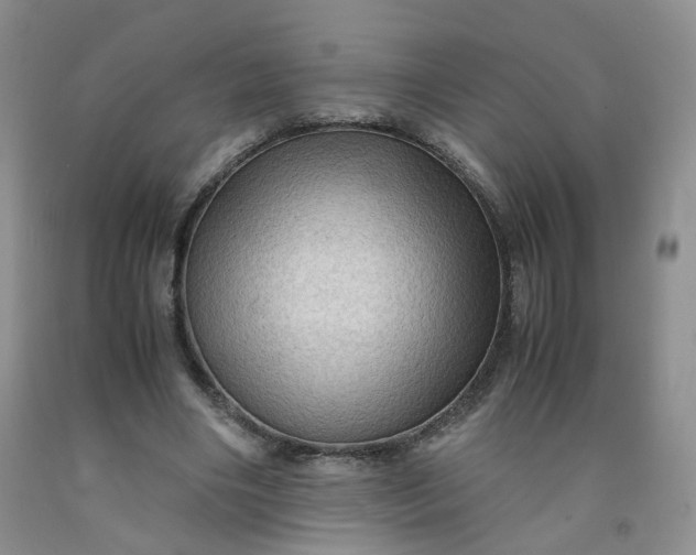 X0000091960490200709201346