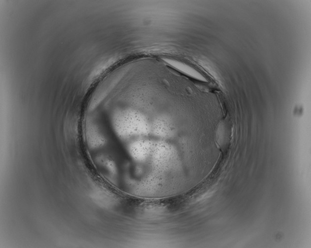 X0000091960491200709201346