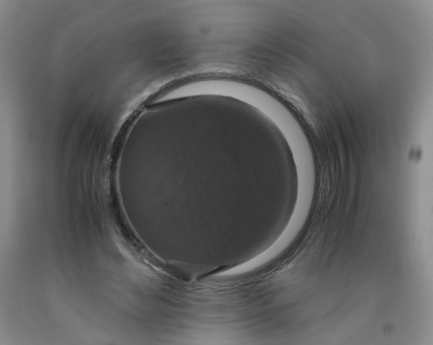 X0000091960492200709201346