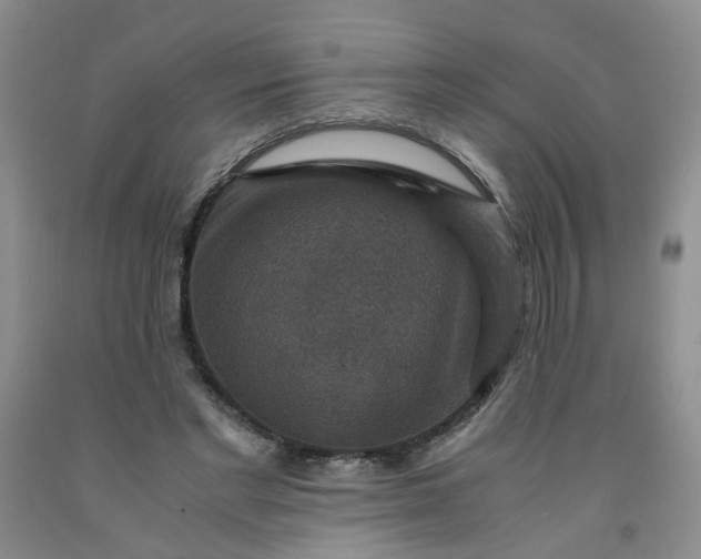 X0000091960493200709201346